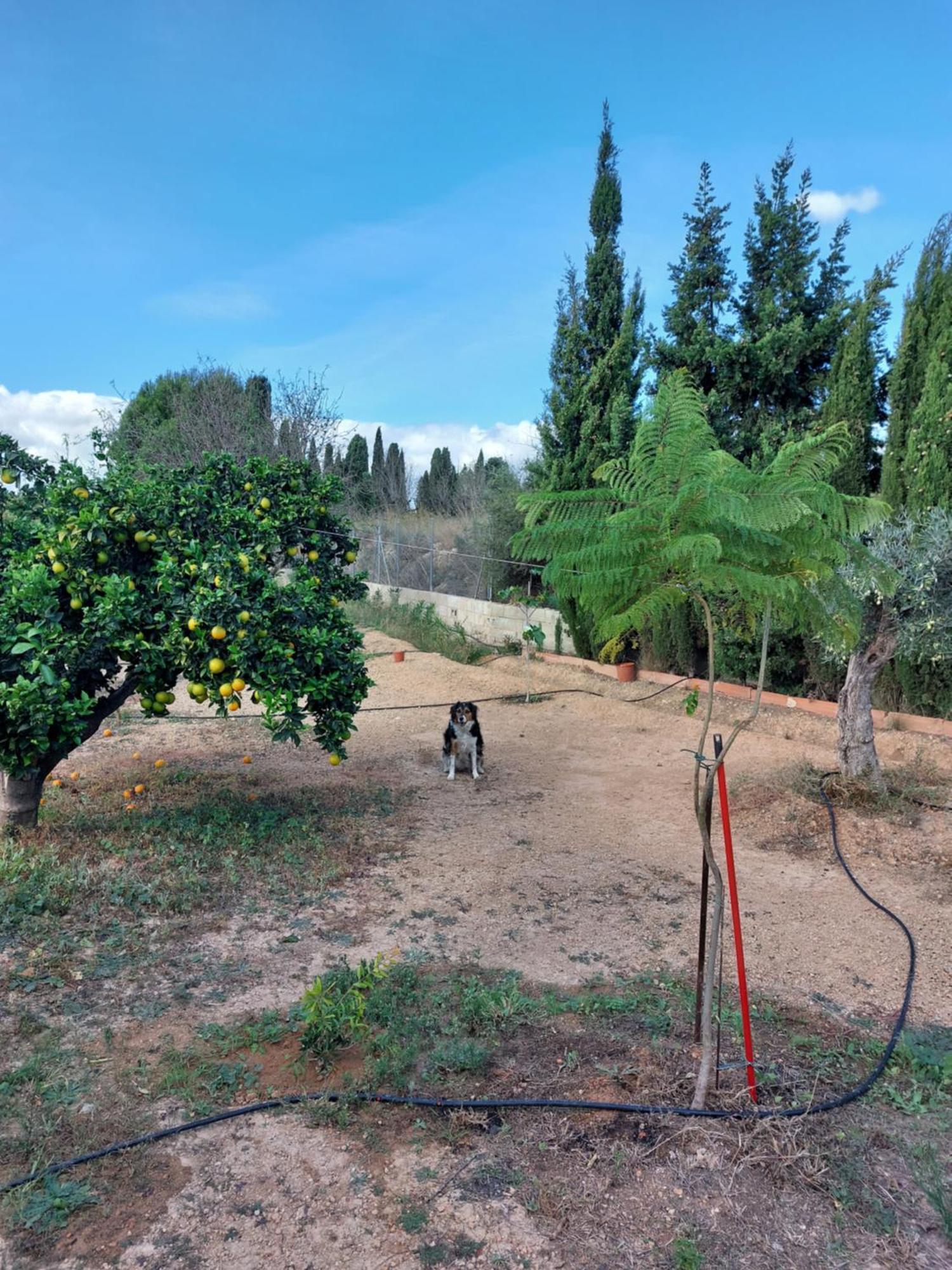 Les Berreries Villa Montroy Exterior photo